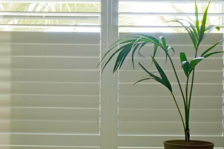 shutter installation services